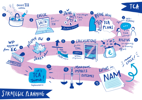 step by step illustration of strategicly planning TCAs